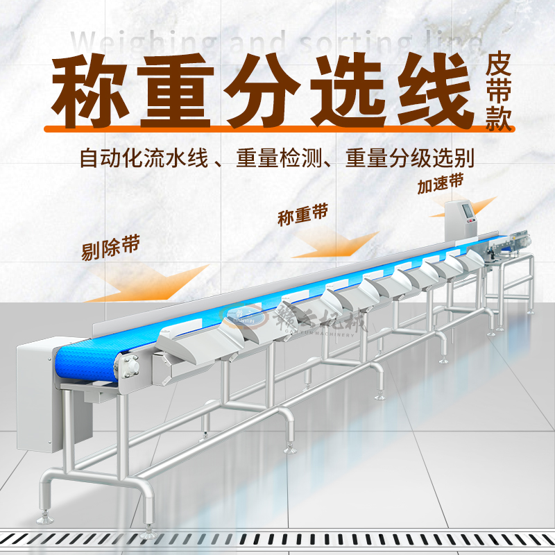 輸送式分選機(jī) 輸送式分選機(jī)